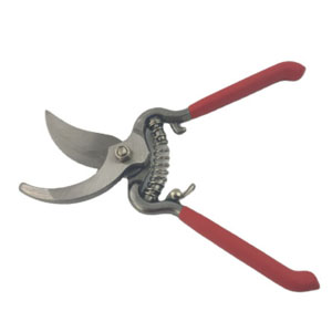 Pruning Hedge Shear